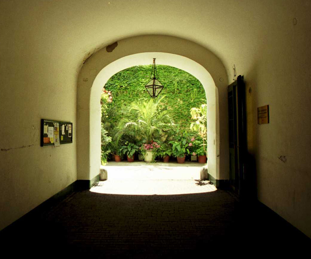 Sch�nheit im Verborgenen