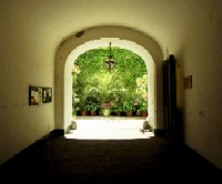 Sch�nheit im Verborgenen